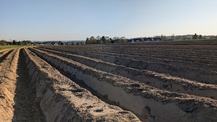 A freshly plowed field in spring, ready for planting. Furrows in the field, agricultural work. 