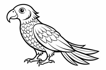 Tia bird vector