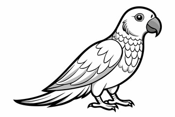 Fototapeta premium Tia bird vector