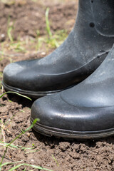 Black Rubber Boots in Mud