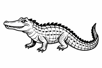 Fototapeta premium the crocodile vector