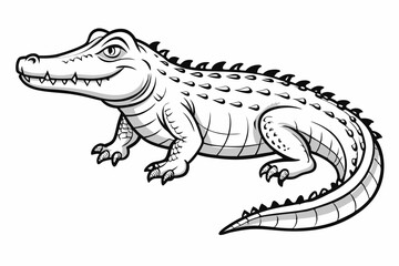 the crocodile vector