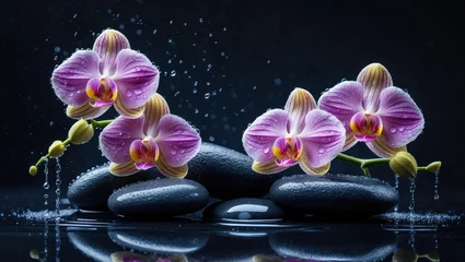 Horizontal panorama featuring pink orchids alongside zen stones.