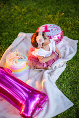 Gorgeous girl and happy baby girl are sitting on green meadow with pink dress. moved hand. Pink birthday Balloon. Baby cake and sunset