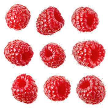 My Sweet Raspberry