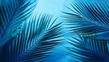 tropical palm leaf abstract blue background