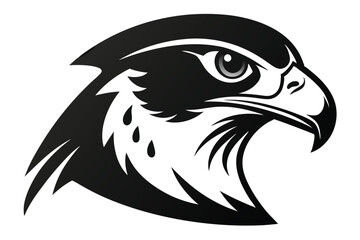 Detailed Monochrome Falcon Head with Piercing Gaze 