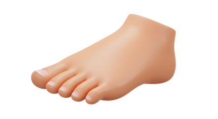 Foot Illustration Showing Toes and Skin Texture on a White Background