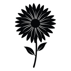 Vector floral daisy illustration, black and white bloom
