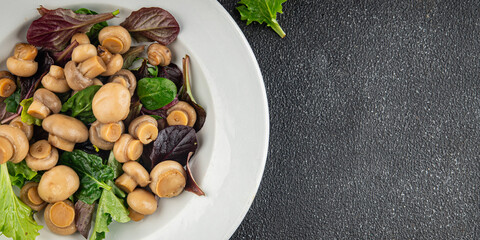 Mushroom salad green lettuce canned champignon mushrooms fresh gourmet food background on the table rustic food top view copy space