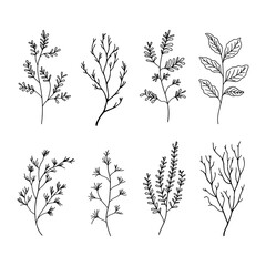 A collection of simple botanical illustrations with minimalistic leaves and floral elements. Ideal for modern logos, branding, packaging, and invitations.