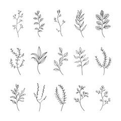 A collection of simple botanical illustrations with minimalistic leaves and floral elements. Ideal for modern logos, branding, packaging, and invitations.