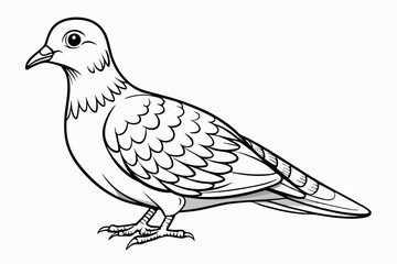 coloring page line art the eurasian vector