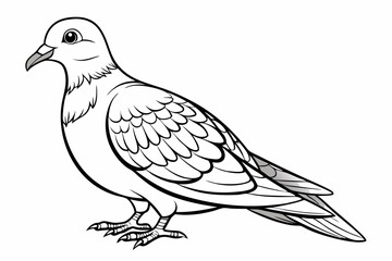 coloring page line art the eurasian vector