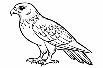 Fototapeta premium coloring page line art the eurasian vector