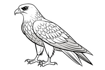 Fototapeta premium coloring page line art the eurasian vector