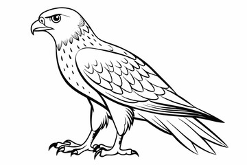 coloring page line art the eurasian vector