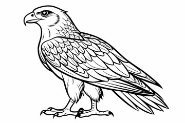 coloring page line art the eurasian vector