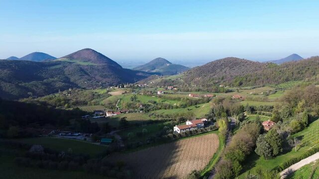 Aerial view and flyover of rural Italian village Faedo with houses among green vineyards in a valley between hills and mountains of Colli Euganei in spring