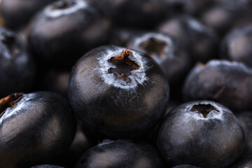 Fototapeta premium Fresh blueberry background. Superfoods. Macro with shallow dof.