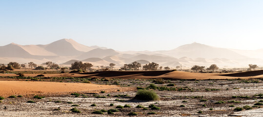 Panorama of Sossusvlei valley in the Namib desert with high red sand dunes and dry savanna on foreground. Namibia, Africa. Landscape photography