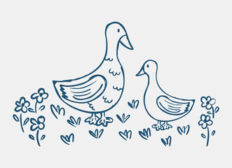 doodle cute mother duck and baby duck hand drawing isolated on white background surrounded by flowers. Vector illustration