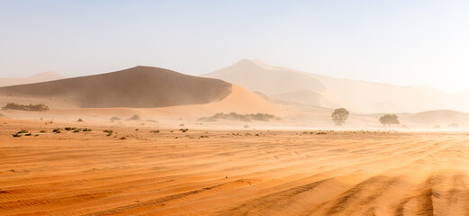 Panorama of the Namib desert with red sand dunes and sandstorm in Sossusvlei valley in Namibia, Africa. Landscape photography