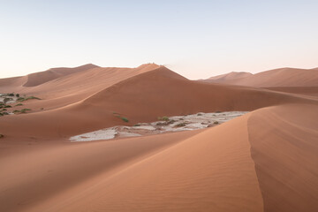 High orange sand dunes and clear sunrise sky in Namib desert at Namib-Naukluft National Park of Namibia, Africa. Landscape photography