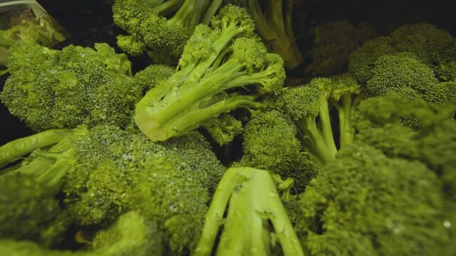 Fresh green broccoli arranged on a store shelf under bright lighting, showcasing its vibrant color and texture in a grocery setting