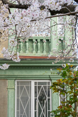 神戸の歴史的建造物の洋館と桜