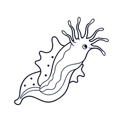 High Quality Nudibranch Line Art Illustration

