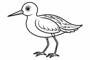 coloring page line art the little sandpiper black vector