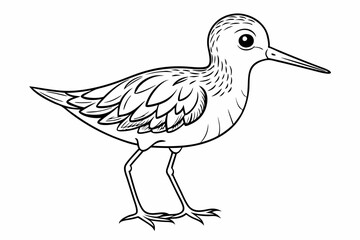 coloring page line art the little sandpiper black vector