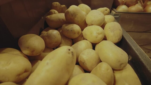 Gold potatoes neatly stacked on a grocery store shelf, displaying their fresh, organic texture and vibrant golden color in a well-lit retail environment
