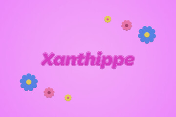 Xanthippe female girl name illustration in pink with blossoms, flowers