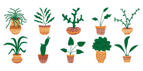 Boho Houseplant Illustration