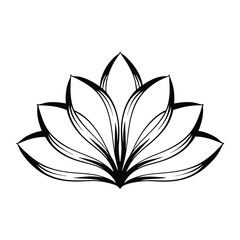 Black and White Lotus Flower Illustration