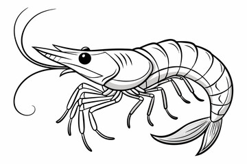 coloring page line art the shrimp black vector