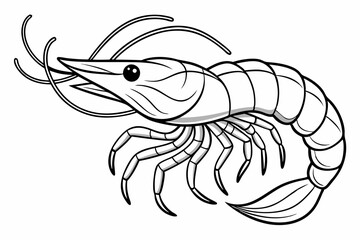 coloring page line art the shrimp black vector