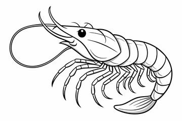 coloring page line art the shrimp black vector