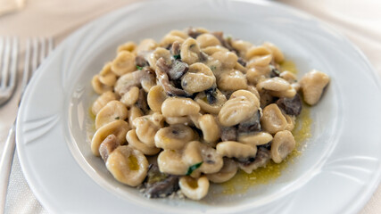 Sardinian pasta homemade food of fresh goat ricotta cheese, sauteed wild mushroom sauce topping on white plate in Sardinia, Italy macro closeup