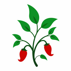 Silhouette vector illustration of a pepper tree