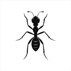 Fototapeta premium Ant Logo Icon Black and White Vector Illustration