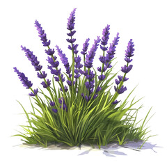 2D flat vector illustration of A Patch Of Summer Lavender Swaying In The Breeze, isolated on a white background.