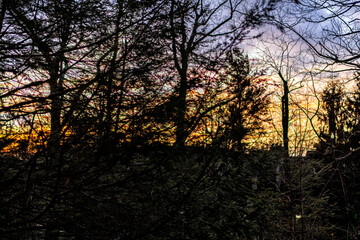 Sunset forest landscape view through woods tree branches in Wintergreen Resort, Virginia with colorful yellow orange cloudy dramatic sky with clouds