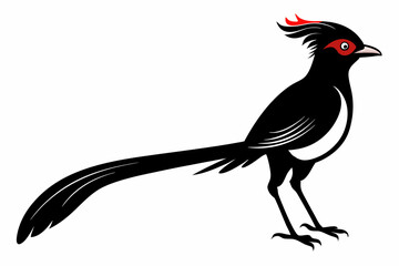 long tailed manakin black silhouette vector