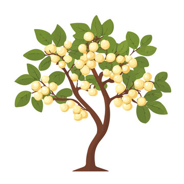 yellow fruit tree with green leaves clip art preview
