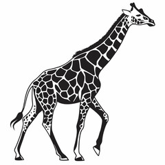 giraffe sihouette black vector