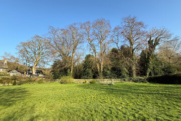 Obraz premium A lush green field stretches in the foreground, bordered by large, leafless trees under a clear blue sky. Houses are visible in the background, in the quiet rural village of, Esholt, Yorkshire, UK
