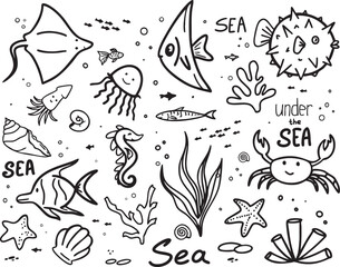 doodle sketch line under the sea life, hand drawn set. Vector graphic element illustration	
